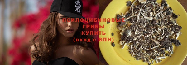 марки lsd Гусь-Хрустальный