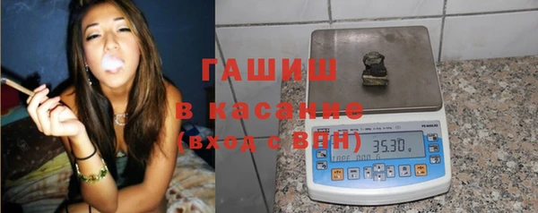 индика Гусиноозёрск