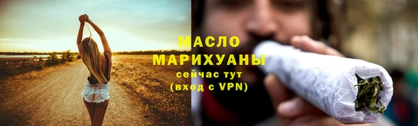 индика Гусиноозёрск