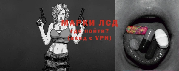 индика Гусиноозёрск