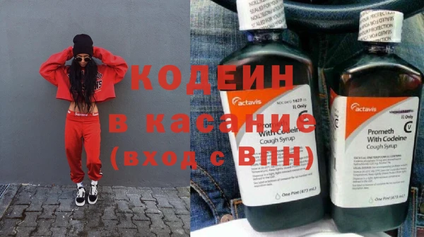 индика Гусиноозёрск
