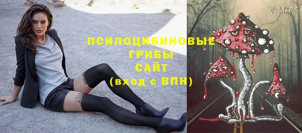 индика Гусиноозёрск