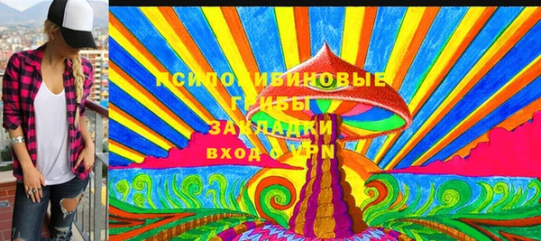 индика Гусиноозёрск