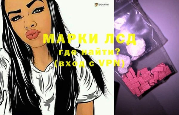 индика Гусиноозёрск
